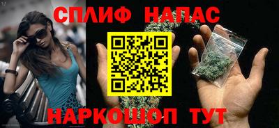 Альфа ПВП Камень-на-Оби