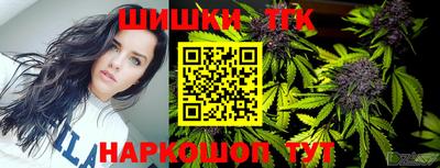 Альфа ПВП Камень-на-Оби